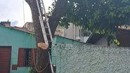 Divulgação/CBMDF