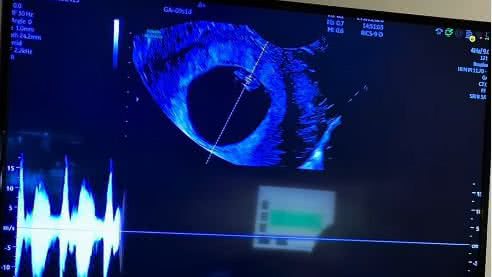 Reprodução Redes sociais