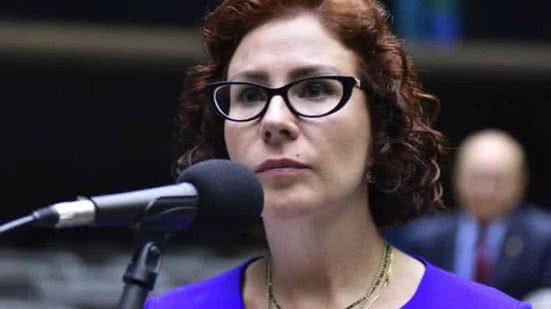 Zeca Ribeiro/Câmara dos Deputados