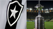 Reprodução e Divulgação/Botafogo