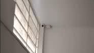 Reprodução / Instagram
