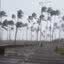 Paulo M. Azevedo/BNews