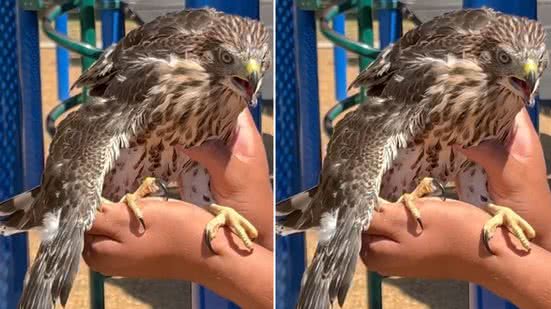 Reprodução / Redes Sociais