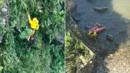Grupamento de Bombeiros Marítimo