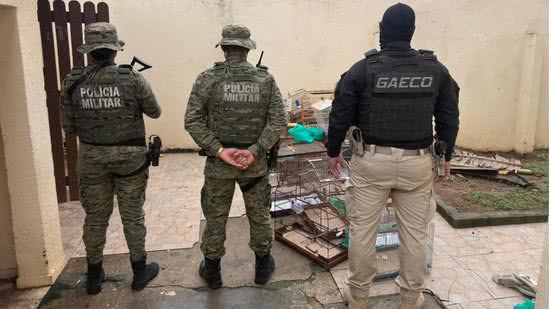 Imagem Vídeo: Operação deflagrada em cinco estados desarticula rede de tráfico de animais e prende homem na Bahia