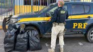 Divulgação/PRF
