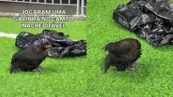 Reprodução/Instagram/@netoecbtv