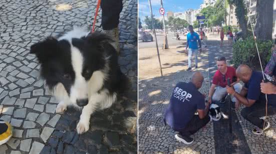 Divulgação/SEOP