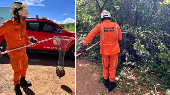 Divulgação / Ascom SSP