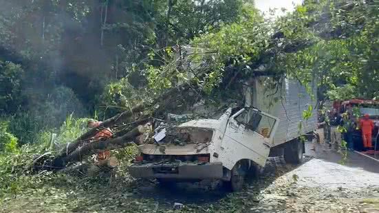 Reprodução | Redes Sociais