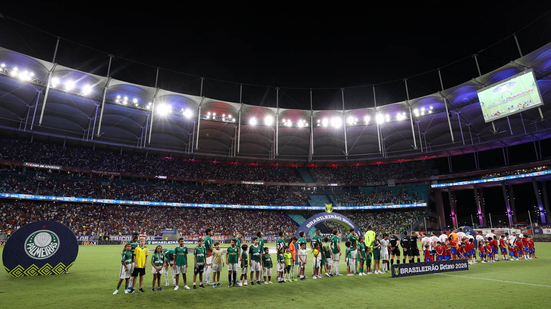 Cesar Greco/Palmeiras