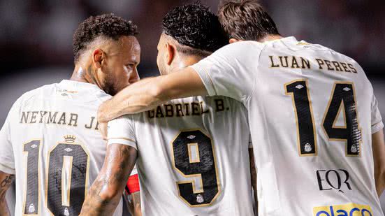 Raul Baretta/ Santos FC