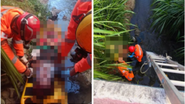 Divulgação / Corpo de Bombeiros