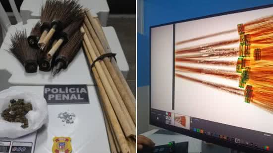 Divulgação