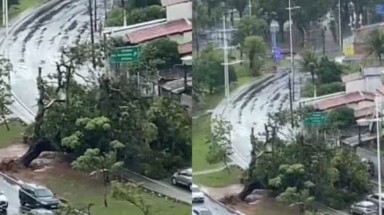Reprodução / BNews