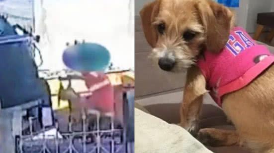 Reprodução | Redes Sociais
