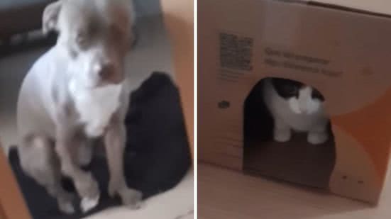 Foto: Reprodução / Instagram