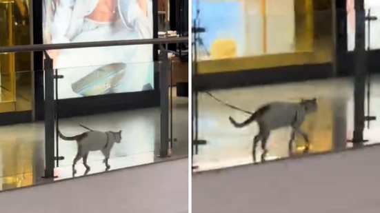 Foto: Reprodução / TikTok @minreis