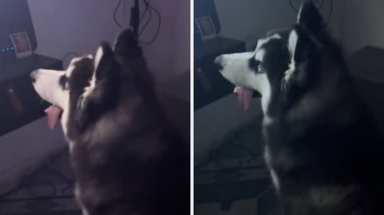 Foto: Reprodução / TikTok @lumosfuracaozinho