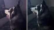 Foto: Reprodução / TikTok @lumosfuracaozinho