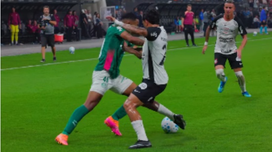 Reprodução/instagram @palmeiras