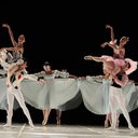 Reprodução/Prefeitura de Joinville