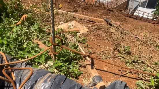 Reprodução / BNewsTV