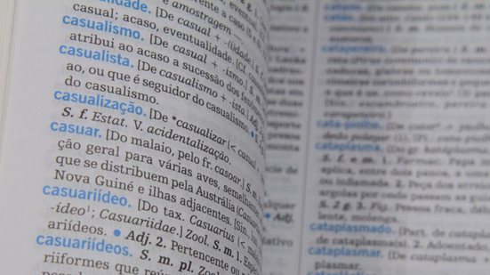 Reprodução/Câmara dos Deputados