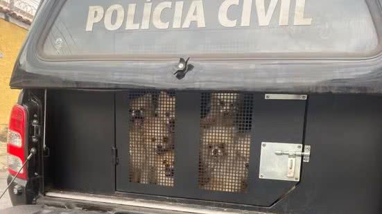 Divulgação/PCMG
