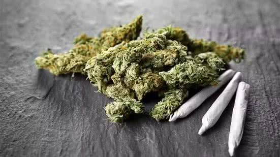 Reprodução/ AdobeStock