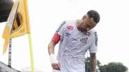 Raul Baretta/Santos FC