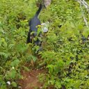 Divulgação | SSP-SP