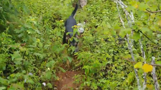 Divulgação | SSP-SP