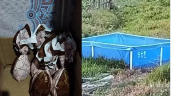 Polícia Civil/ Divulgação