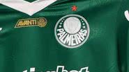 Cesar Greco / Palmeiras