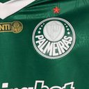 Cesar Greco / Palmeiras