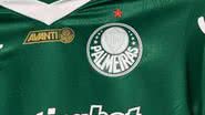 Cesar Greco / Palmeiras