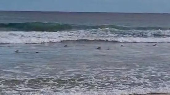 Buday Santos/Reprodução