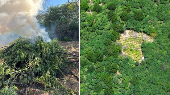 Divulgação / 25ª CIPM