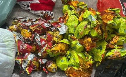 Reprodução Governo de Goiás