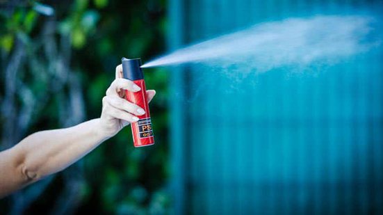 Bruno Collaço / Agência Alesc