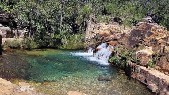 Reprodução / Redes sociais