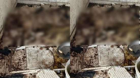 Reprodução/ Preto no Branco