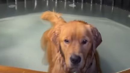 Reprodução Redes sociais