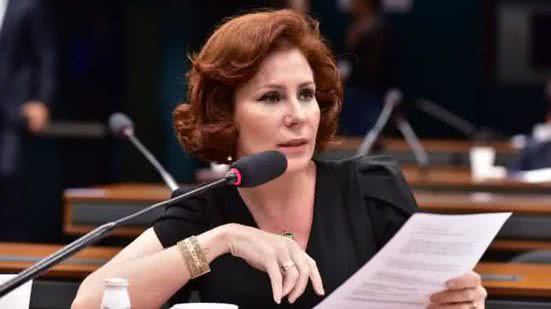 Zeca Ribeiro / Câmara dos Deputados