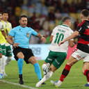 Cesar Greco/Palmeiras