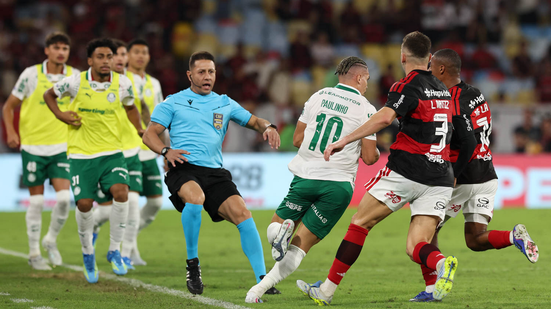 Cesar Greco/Palmeiras