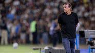 Raul Baretta/Santos FC