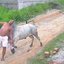 Reprodução / Redes Sociais