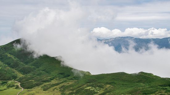 Reprodução/Pixabay